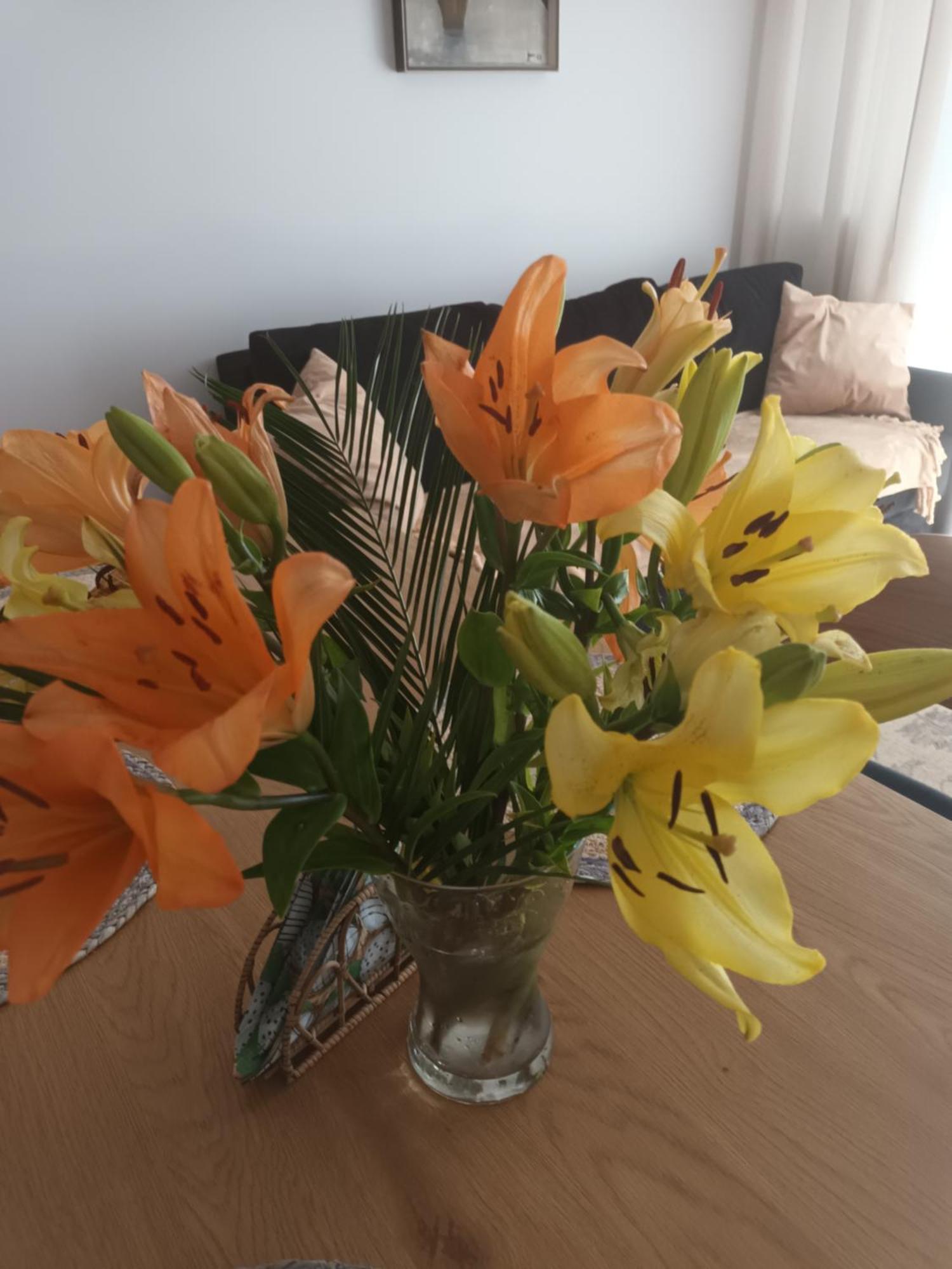 Apartament Lilla 2 Jelenia Góra Eksteriør bilde